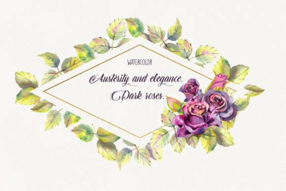 Austerity and Elegance. Dark Roses. Illustrations for Sophisticated Designers