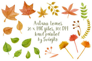 Autumn Leaves Illustrations: A Versatile Graphic Design Asset for Seasonal Crafting