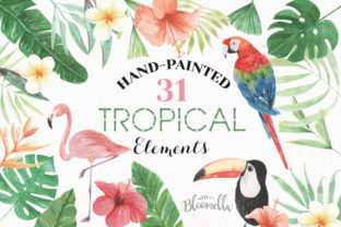 Elements Tropical Package Flamingo Tucan Illustrations Review