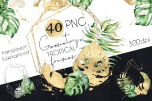 Geometry Tropical Frames Creator – A Versatile Illustration for Creative Sellers