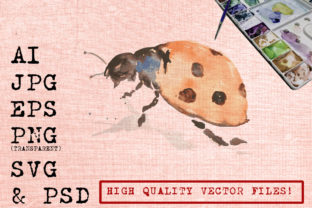 Orange Lady Bug Illustrations: A Brand Designer’s Review for Local Business Use
