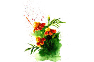 Sketch Drawing Orange Marigolds: A Versatile Illustration for Digital Sellers